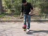 hana (240)_samu.gif